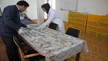 سلطانیه گونبدینده تاریخی اشیالار سامانلاشدیریلیر